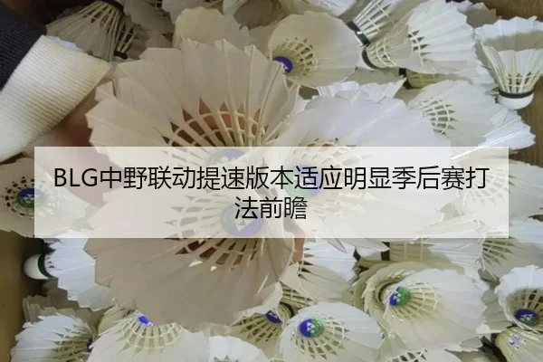 BLG中野联动提速版本适应明显季后赛打法前瞻